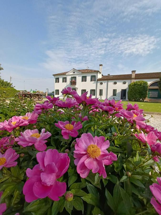 Agriturismo Villa Greggio Casalserugo Eksteriør billede